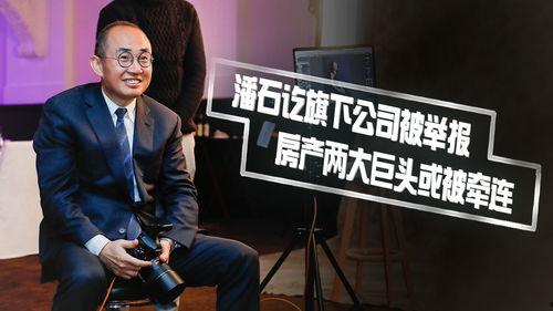 最新关键证人爆料,揭秘事件背后惊人真相！”  第1张